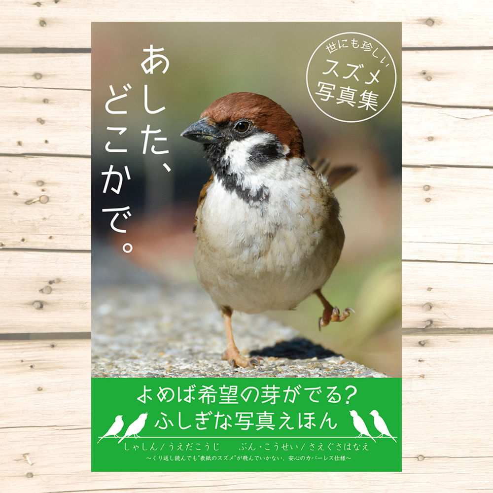 吹鳴さま ご確認用 ねん様確認用 きゃとー 様確認用 Amazon | KN企画