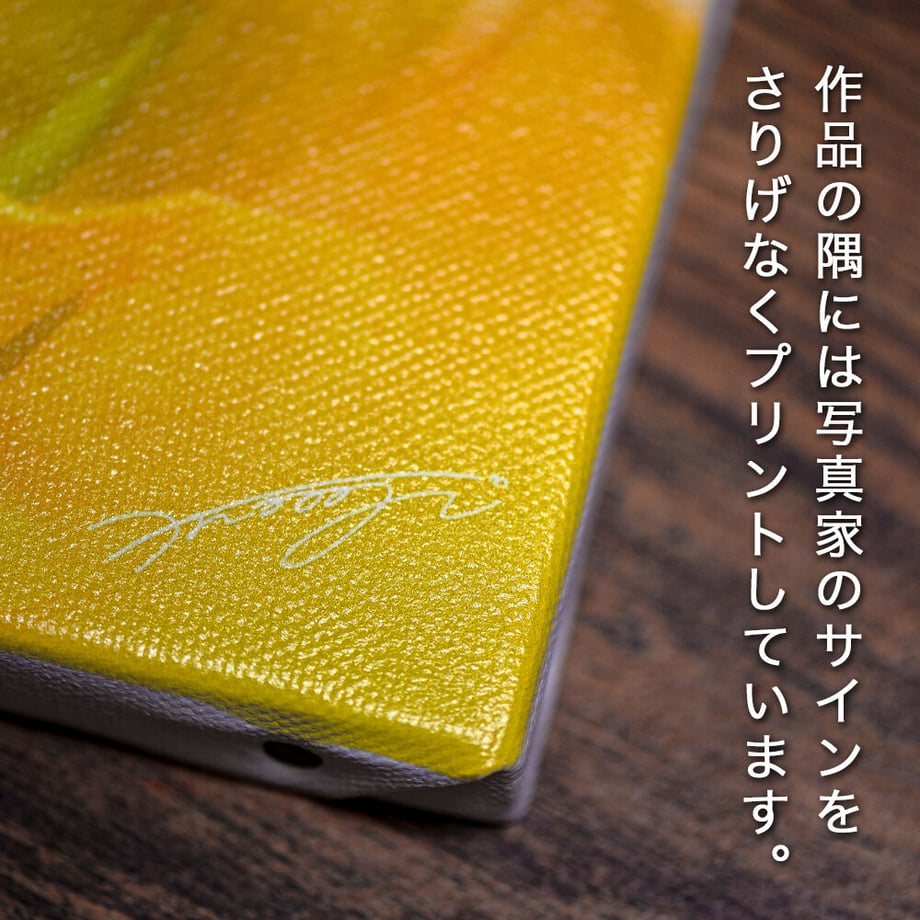 61175f14e4943322511d6de1