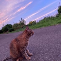 フィードバック