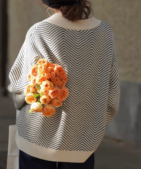 v-neck single breasted cardigan (2 colors)
