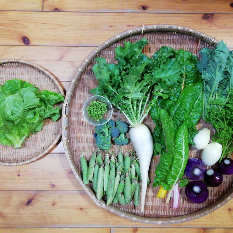 農薬化学肥料不使用】おまかせ野菜セット【8種類以上の野菜