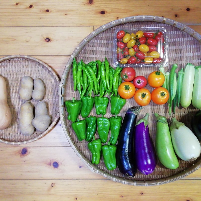 農薬化学肥料不使用】おまかせ野菜セット【8種類以上の野菜