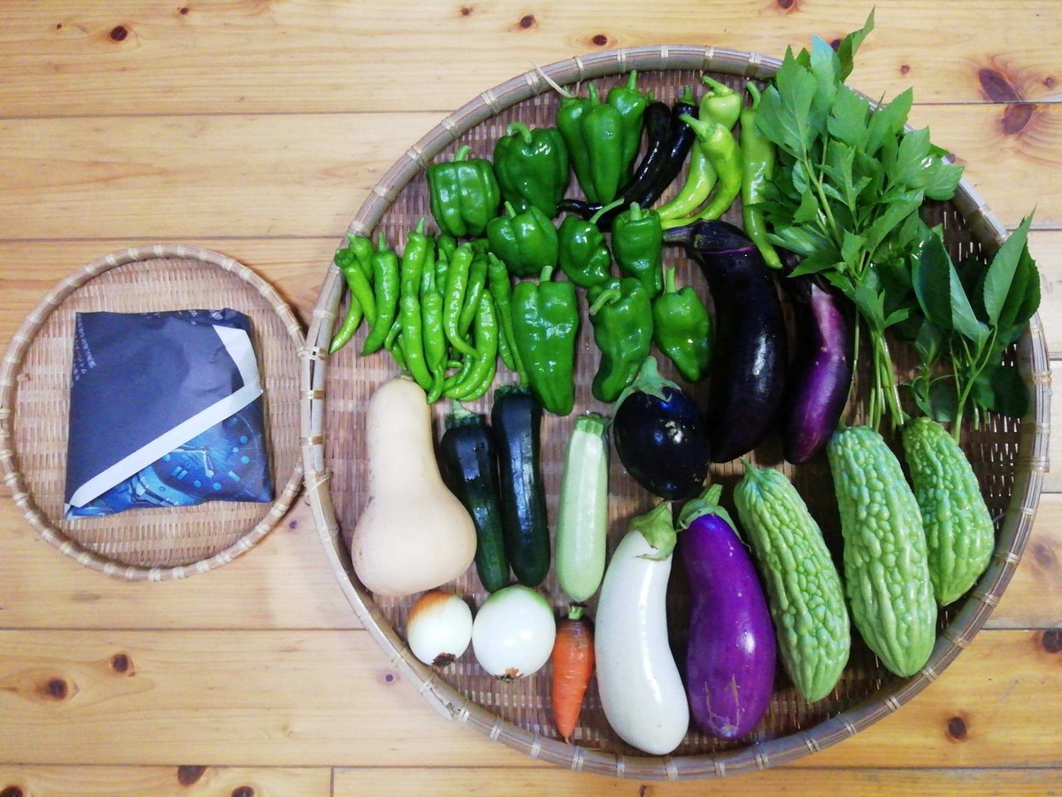 農薬化学肥料不使用】おまかせ野菜セット【8種類以上の野菜】【金曜日