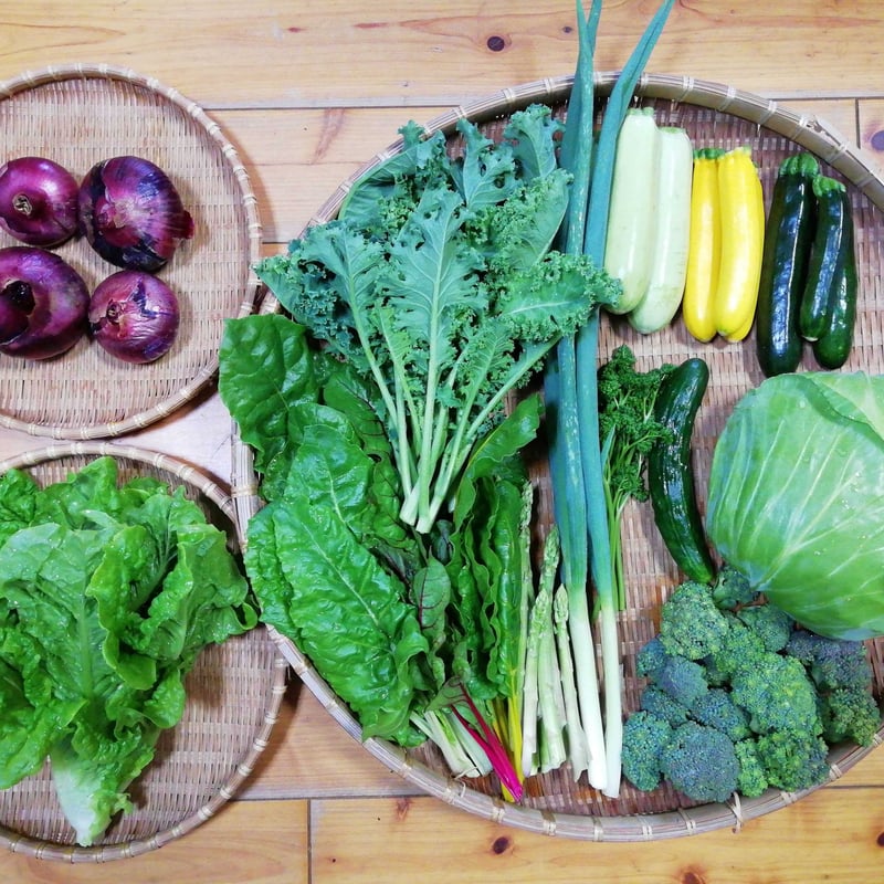 農薬化学肥料不使用】おまかせ野菜セット【8種類以上の野菜】【金曜日