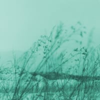ECHO / SAKANA HOSOMI