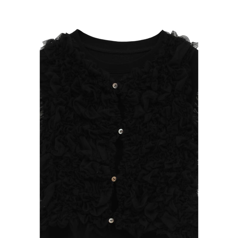 CLANE クラネ “TULLE VEST LAYERED TOPS” チュールベストレイヤー CLANE クラネ “TULLE VEST LAYERED TOPS” チュールベストレイヤー
