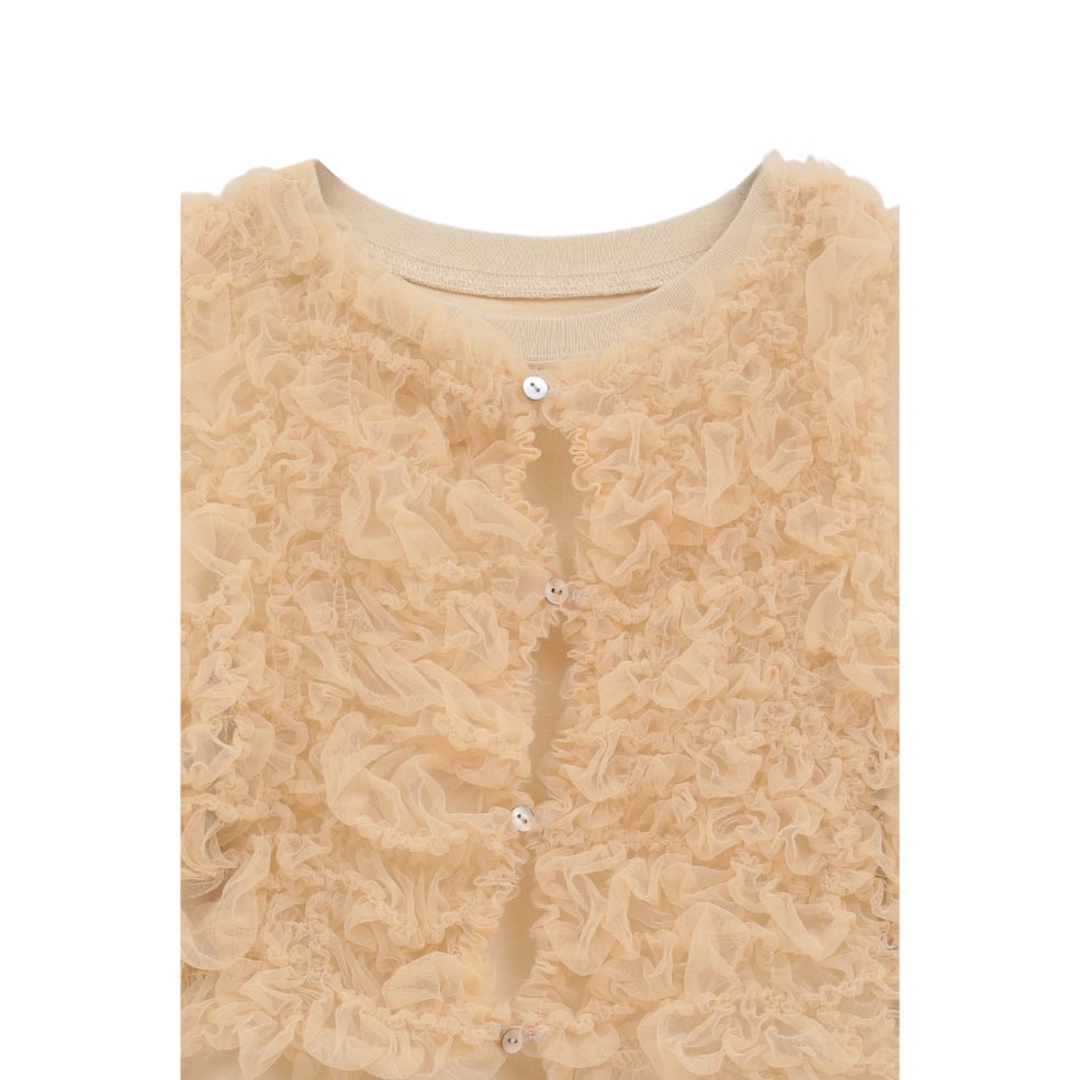 CLANE クラネ “TULLE VEST LAYERED TOPS” チュールベストレイヤー CLANE クラネ “TULLE VEST LAYERED TOPS” チュールベストレイヤー