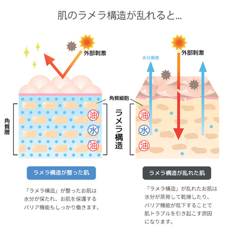 サロン人気No.1!!角質層まで働きかけるスペシャルケア保湿美容液