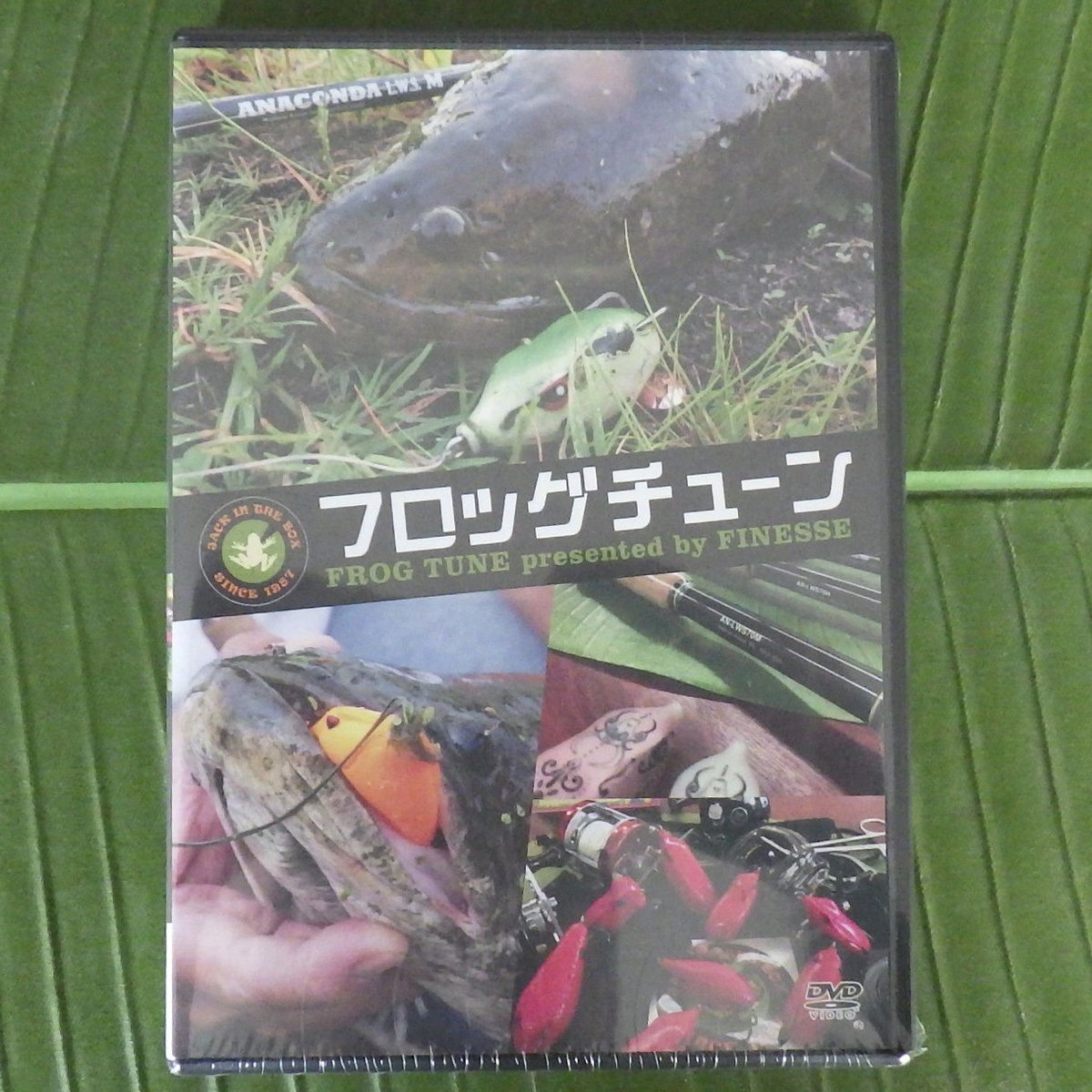 フロッグチューン (DVD) | FINESSE WEB SHOP