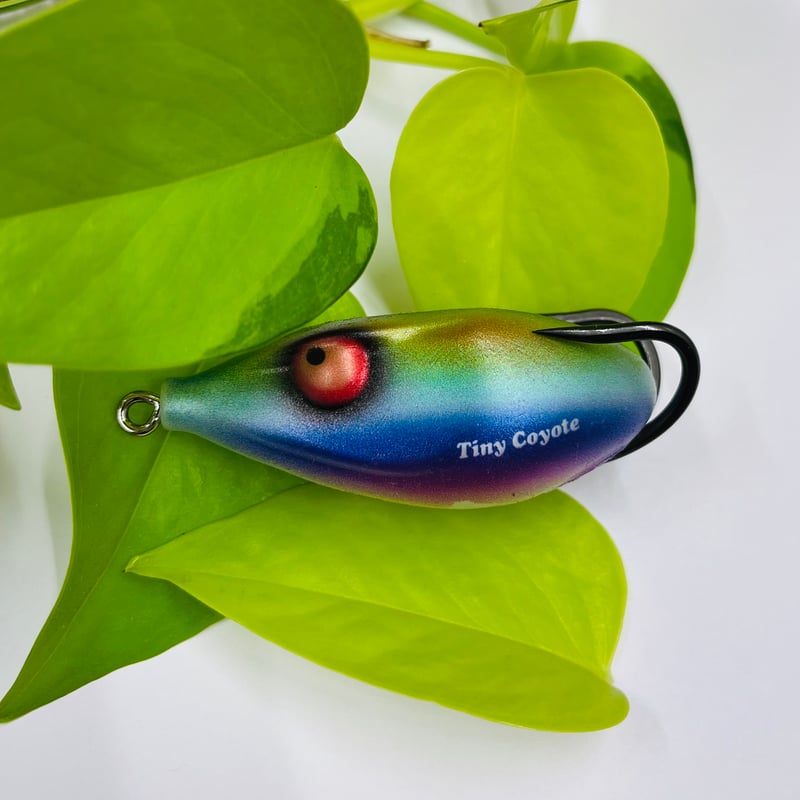 ☆虹の秘宝☆ タイニーコヨーテ 〜TAMAMUSHI〜 | FINESSE WEB SHOP