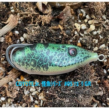 ☆高麗桂魚☆　コヨーテJr.　～怪魚シリーズ　ソガリ～