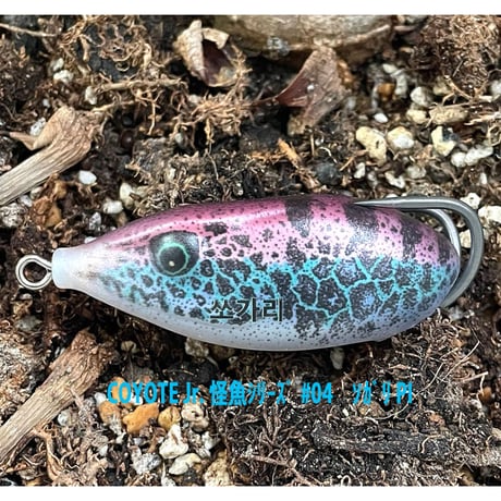 ☆高麗桂魚☆　コヨーテJr.　～怪魚シリーズ　ソガリ～