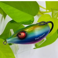 ☆虹の秘宝☆　タイニーコヨーテ　〜TAMAMUSHI〜