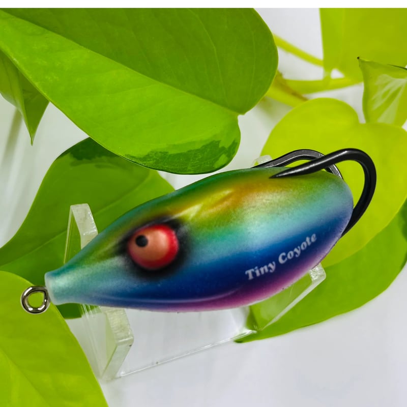 ☆虹の秘宝☆ タイニーコヨーテ 〜TAMAMUSHI〜 | FINESSE WEB SHOP