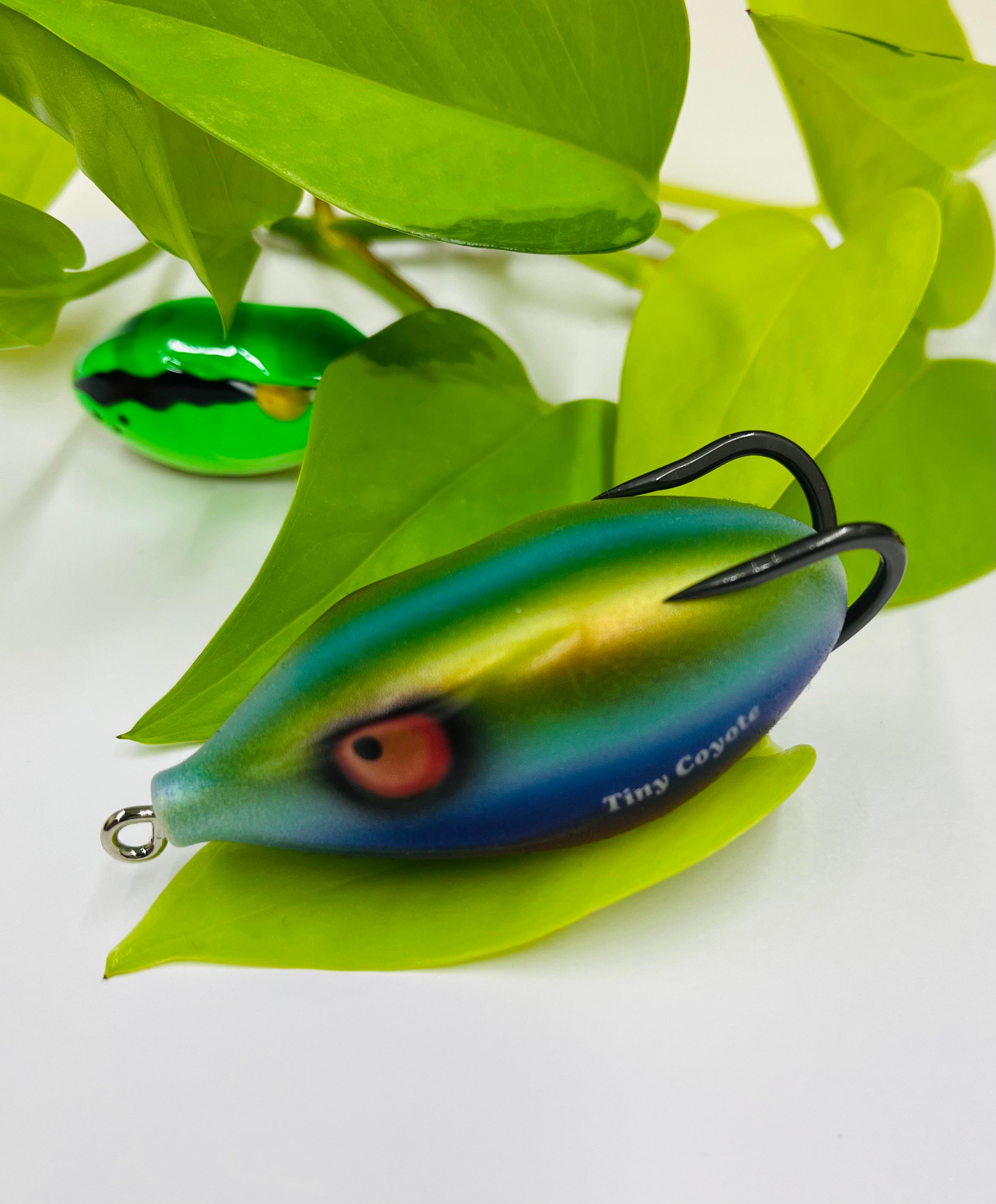 ☆虹の秘宝☆ タイニーコヨーテ 〜TAMAMUSHI〜 | FINESSE WEB SHOP