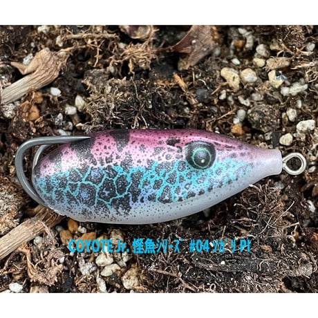 ☆高麗桂魚☆　コヨーテJr.　～怪魚シリーズ　ソガリ～