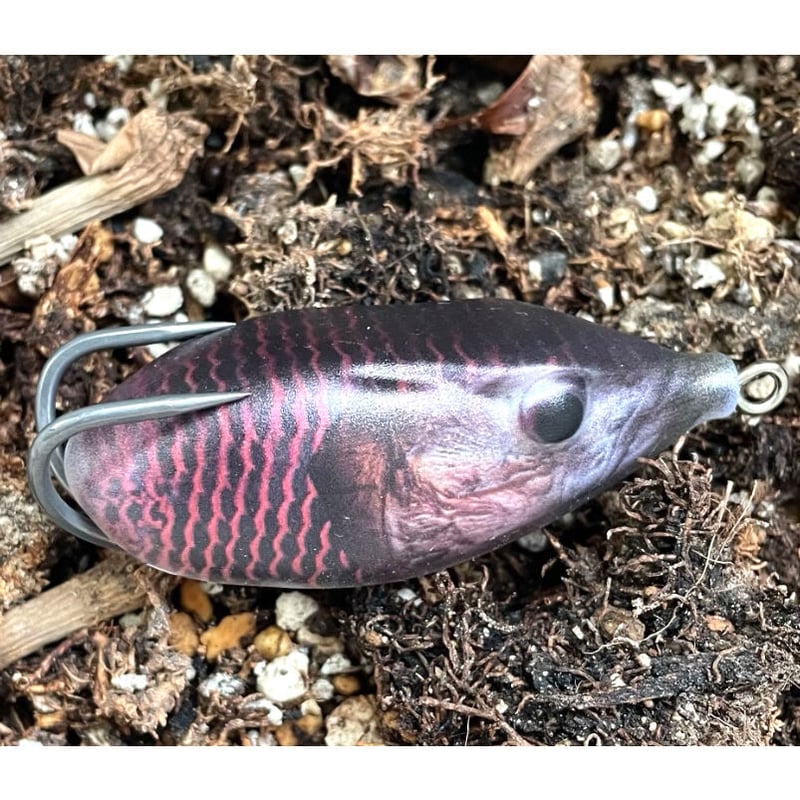 時の怪魚 太刀うおM ZX太刀魚 | 株式会社ベイシックジャパン