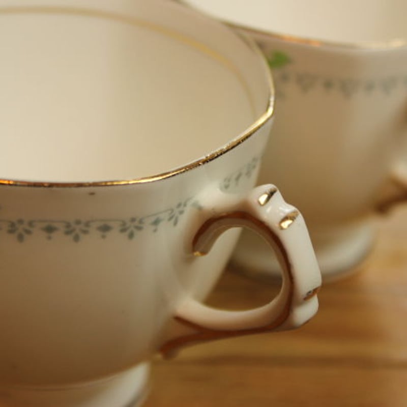 plant tuscan cup and saucer set A | Lesley Vintage