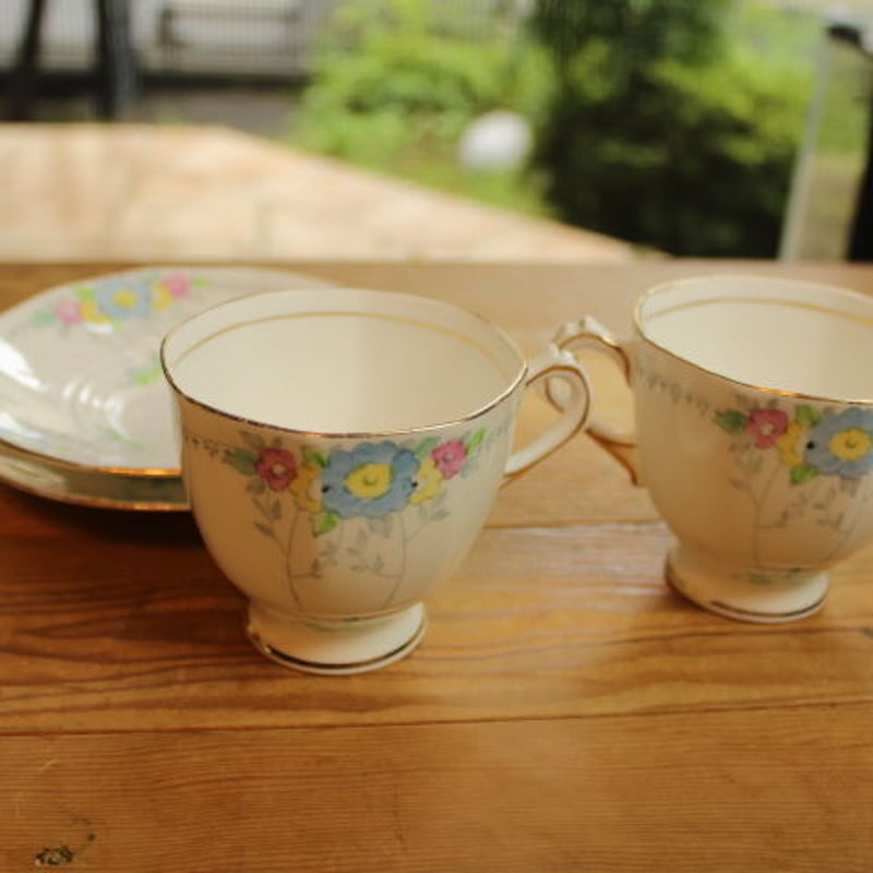 plant tuscan cup and saucer set A | Lesley Vintage
