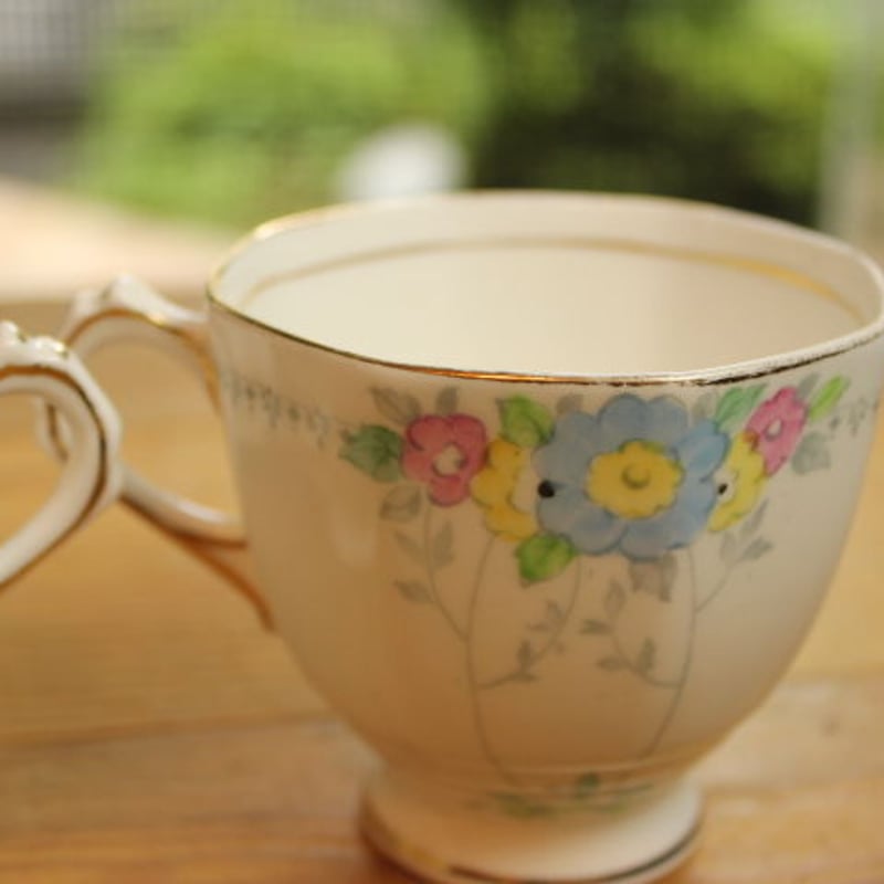 plant tuscan cup and saucer set A | Lesley Vintage