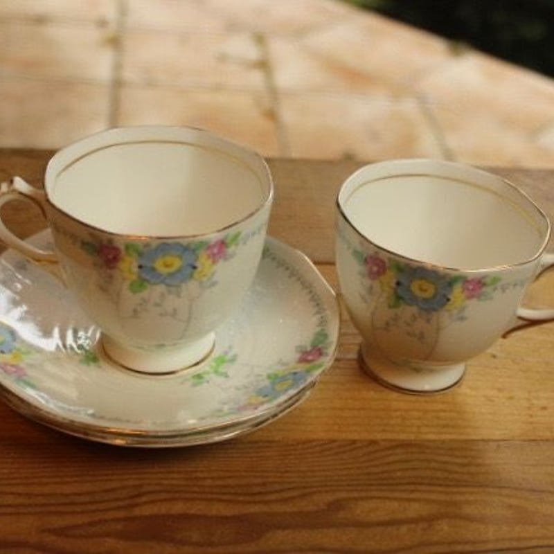 plant tuscan cup and saucer set A | Lesley Vintage