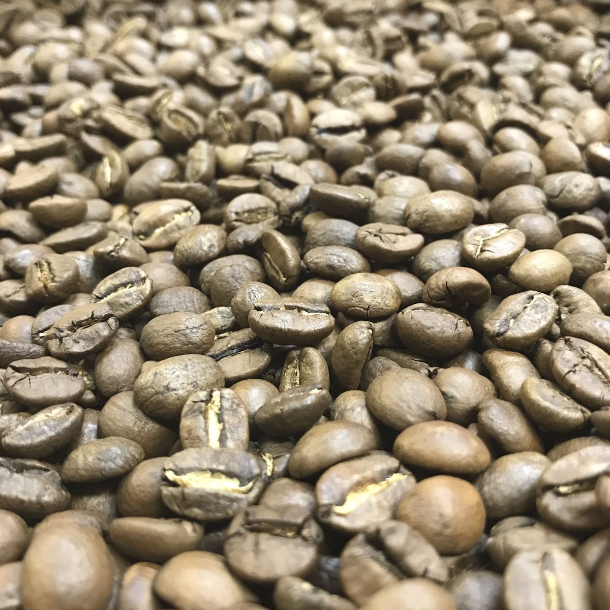 マイルドブレンド 中煎り 200g | TAMAYA COFFEE
