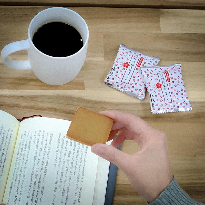 桔梗信玄ビスキュイ 27枚入り | 桔梗信玄ビスキュイ・ストア