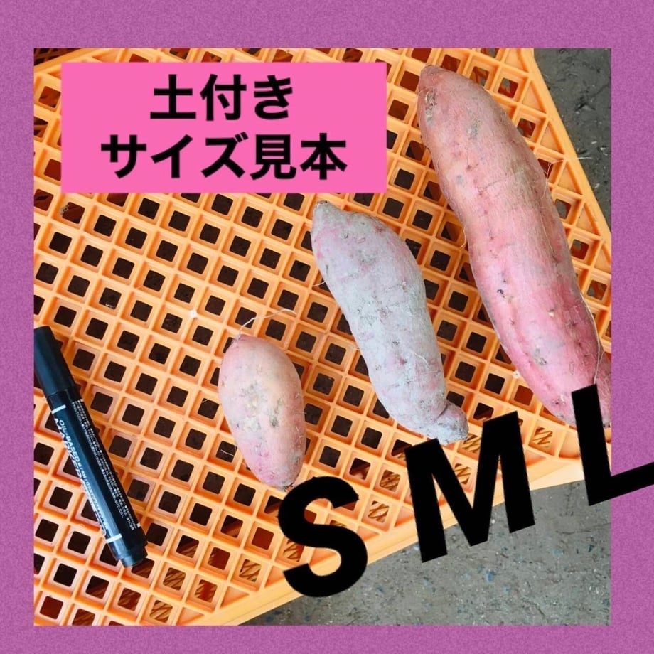 61ff28d7acbcb07d90336f8a