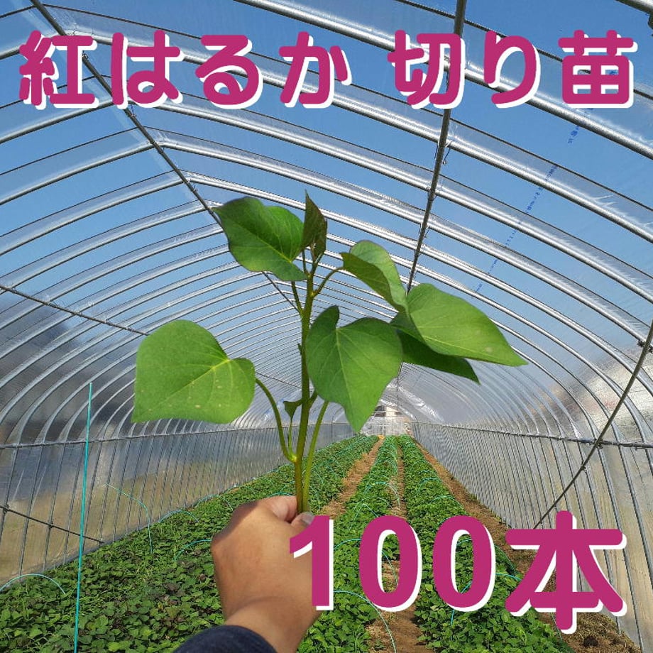 63c20daf791d024be43c1d7c