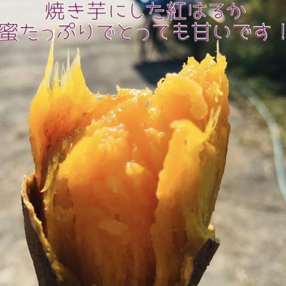 61ff28d7acbcb07d90336f8a