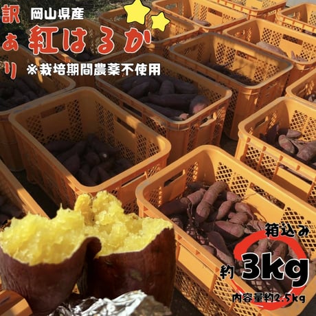 【追熟済】 紅はるか３kg（箱込） ねっとり甘い 無農薬で育てました。安納芋より糖度が高い！