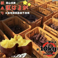 【追熟済】 紅はるか10kg（箱込） ねっとり甘い 無農薬で育てました。安納芋より糖度が高い！