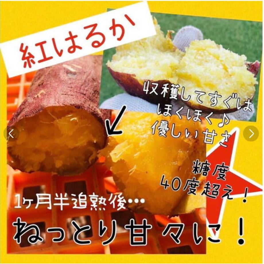 61ff28d7acbcb07d90336f8a