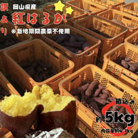 【追熟済】 紅はるか５kg(箱込) ねっとり甘い 無農薬で育てました。安納芋より糖度が高い！