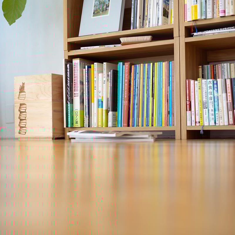 ブックシェルフ 黒猫の本棚 STACKING SHELF 2段 REGULAR×REGULAR