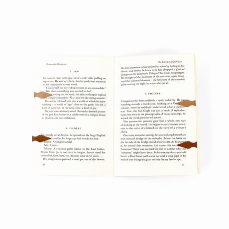 BOOK DARTS 12PIECES