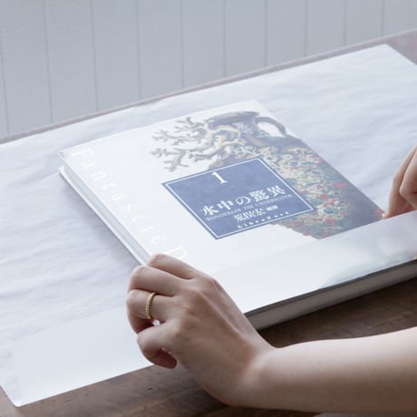GLASSINE PAPER COVER L