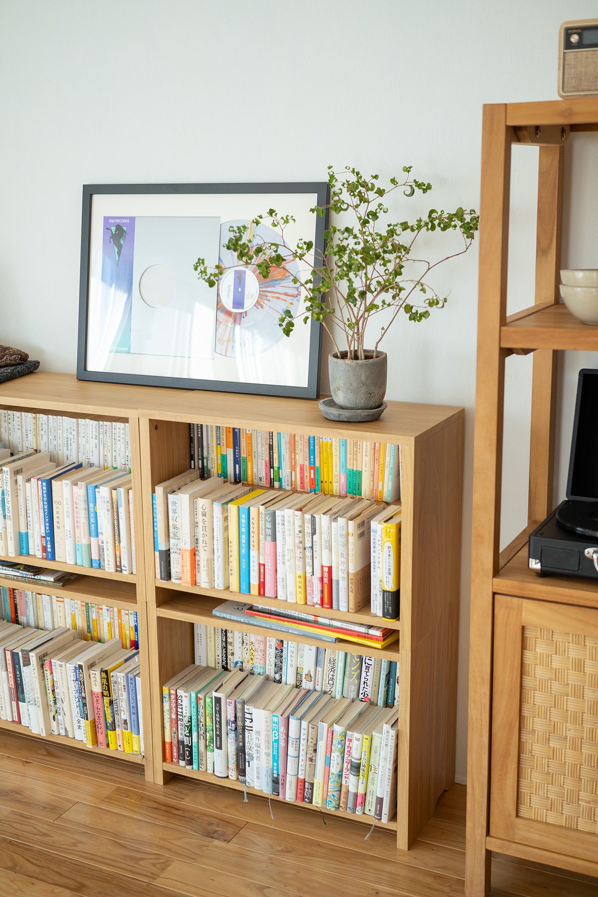 ブックシェルフ 黒猫の本棚 STACKING SHELF 2段 ANGLE×REGULAR F