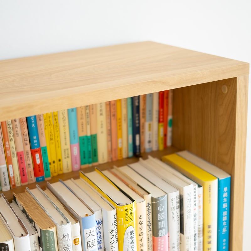 ブックシェルフ 黒猫の本棚 STACKING SHELF 2段 REGULAR×REGULAR