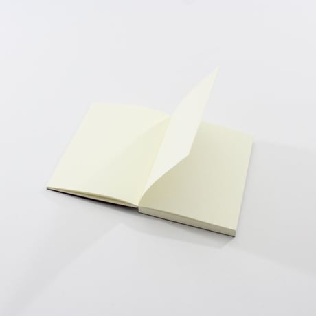 ノート / BIBLIO NOTE 無地 箔 A6文庫
