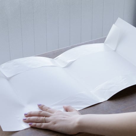 GLASSINE PAPER COVER L