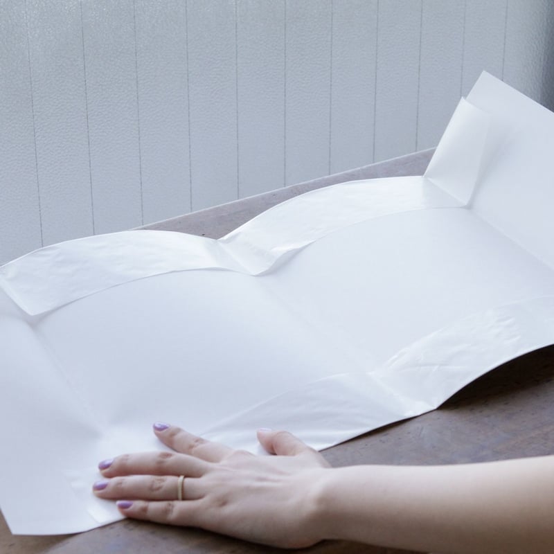 GLASSINE PAPER COVER L | BIBLIOPHILIC