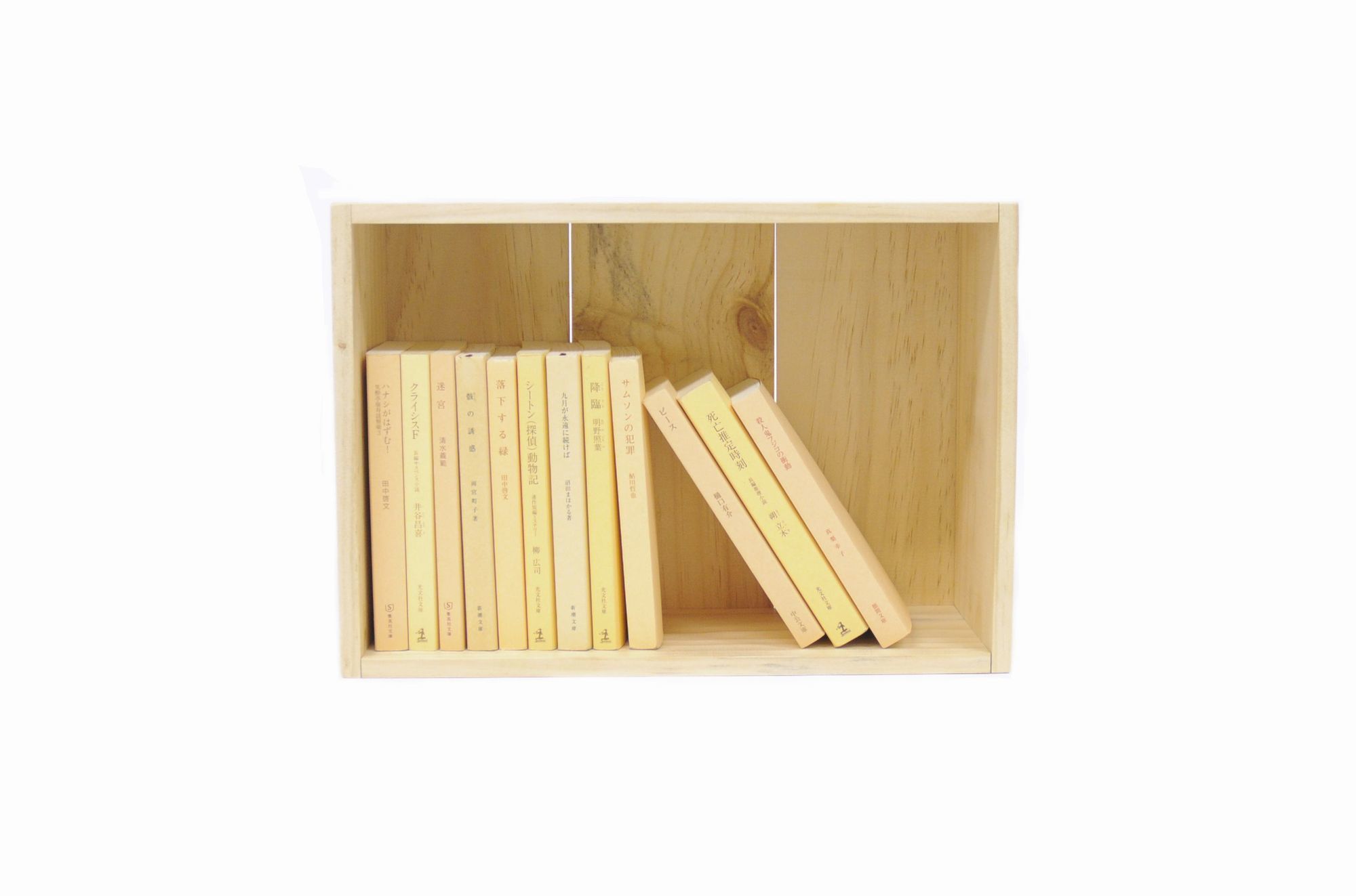 BOOK CONTAINER Natural HALF S | BIBLIOPHILIC