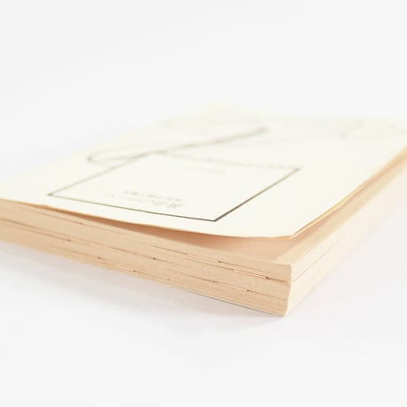 BOOK DARTS 125PIECES
