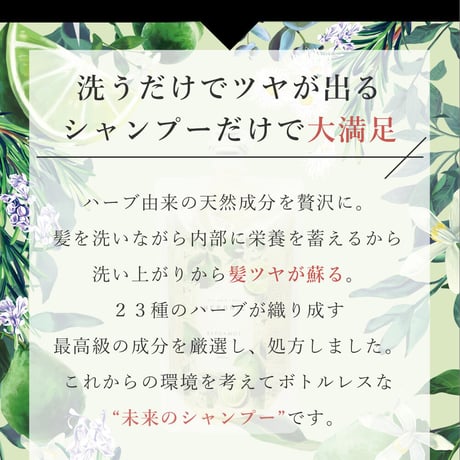 【送料無料 選べる香り】 HERBNIC ハーブニック シャンプー ベルガモット ローズマリー ユーカリ 300ml