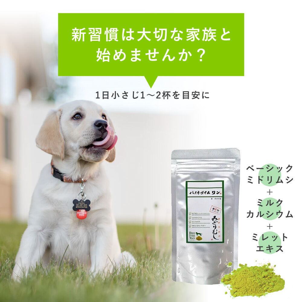 値下げ！新品未開封!ユーグレナみどりむし！キングバイオ　8個セット Amazon | キングバイオ みどりむしダイエット 60粒 | ROTTS