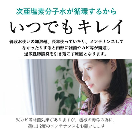 超音波噴霧器 + 次亜塩素酸分子水 ウイルレスウォーター(10L)セット　メーカー直送