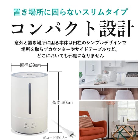 【×6個セット】次亜塩素酸分子水 ウイルレスウォーター(20L) メーカー直送