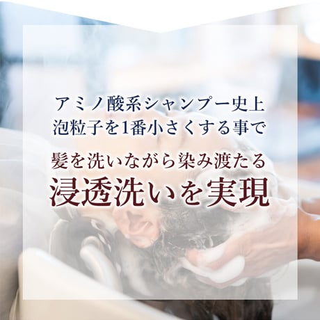 【送料無料 選べる香り】 HERBNIC ハーブニック シャンプー ベルガモット ローズマリー ユーカリ 300ml
