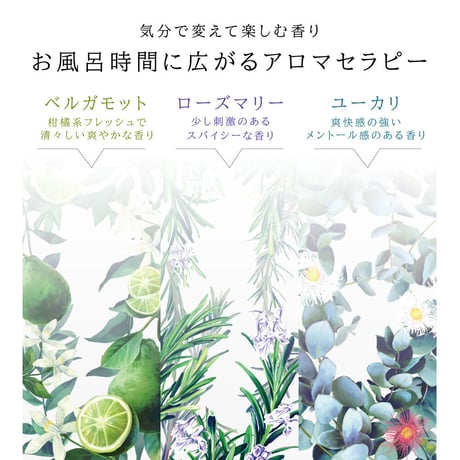 【送料無料 選べる香り】 HERBNIC ハーブニック シャンプー ベルガモット ローズマリー ユーカリ 300ml